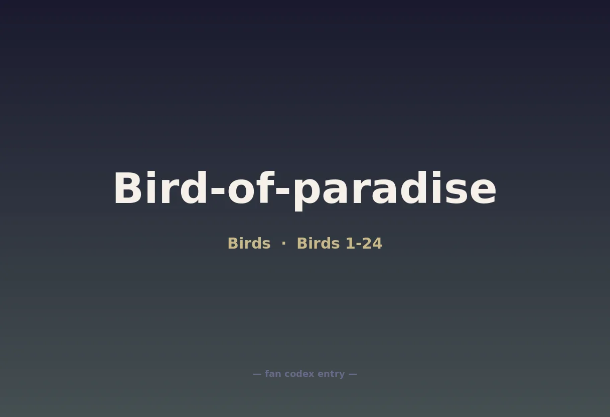 Bird-of-paradise