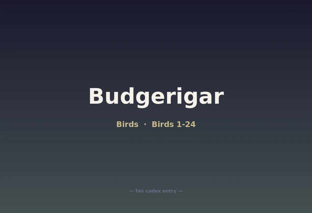 Budgerigar