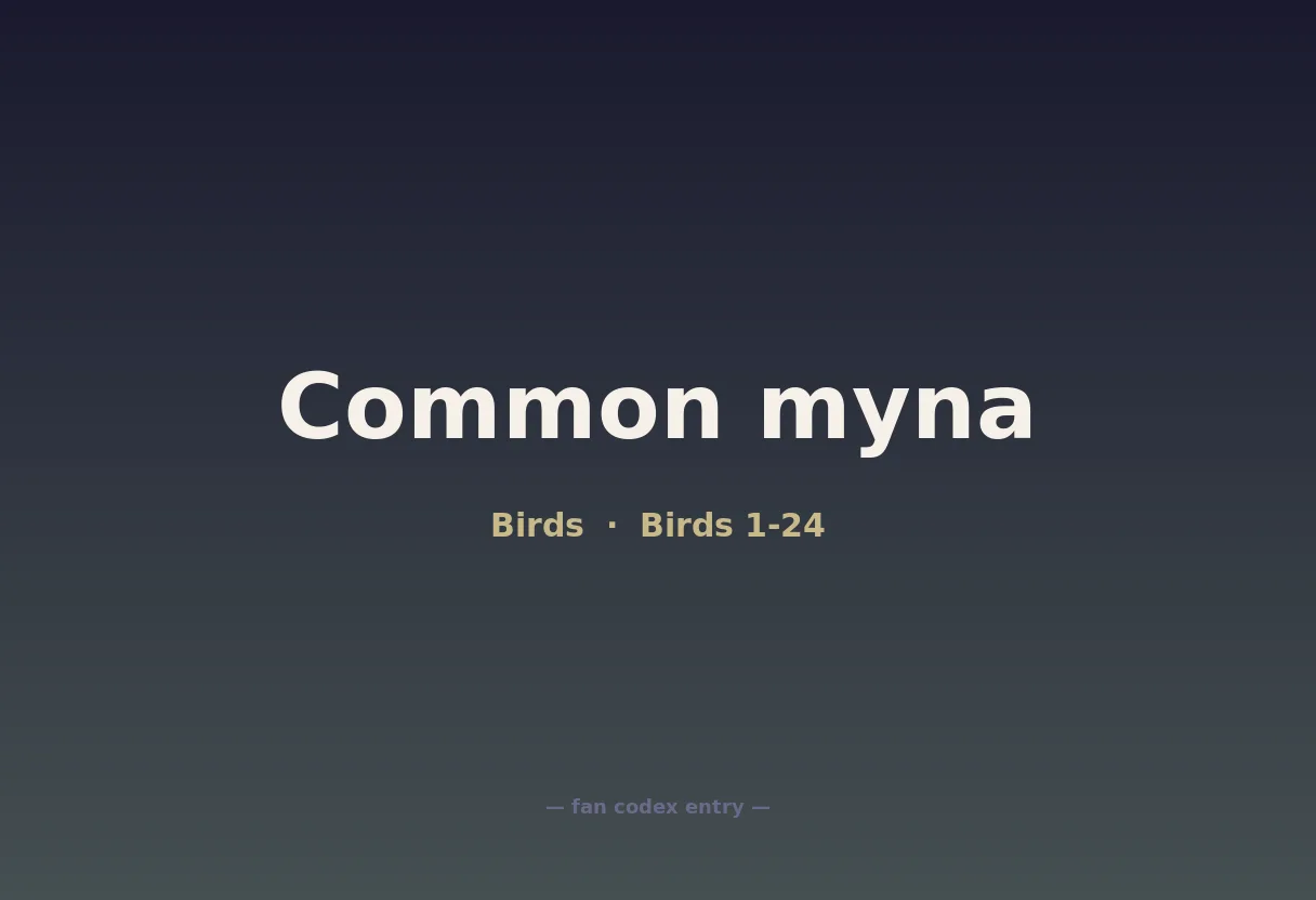 Common myna