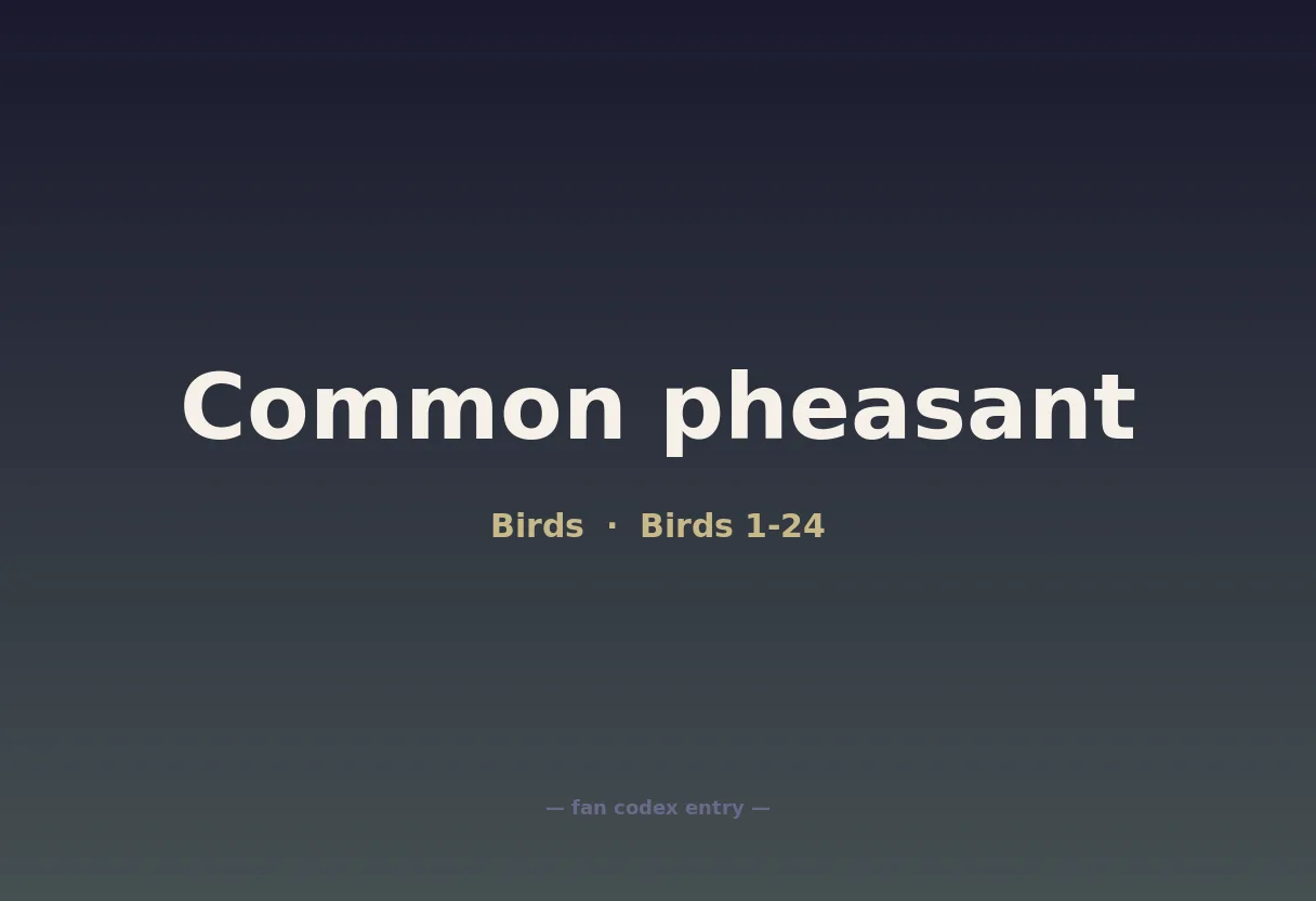 Common pheasant