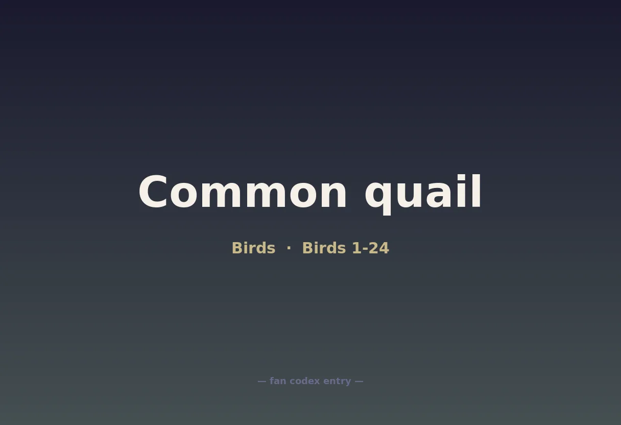 Common quail