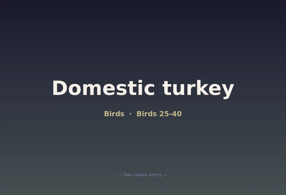 Domestic turkey