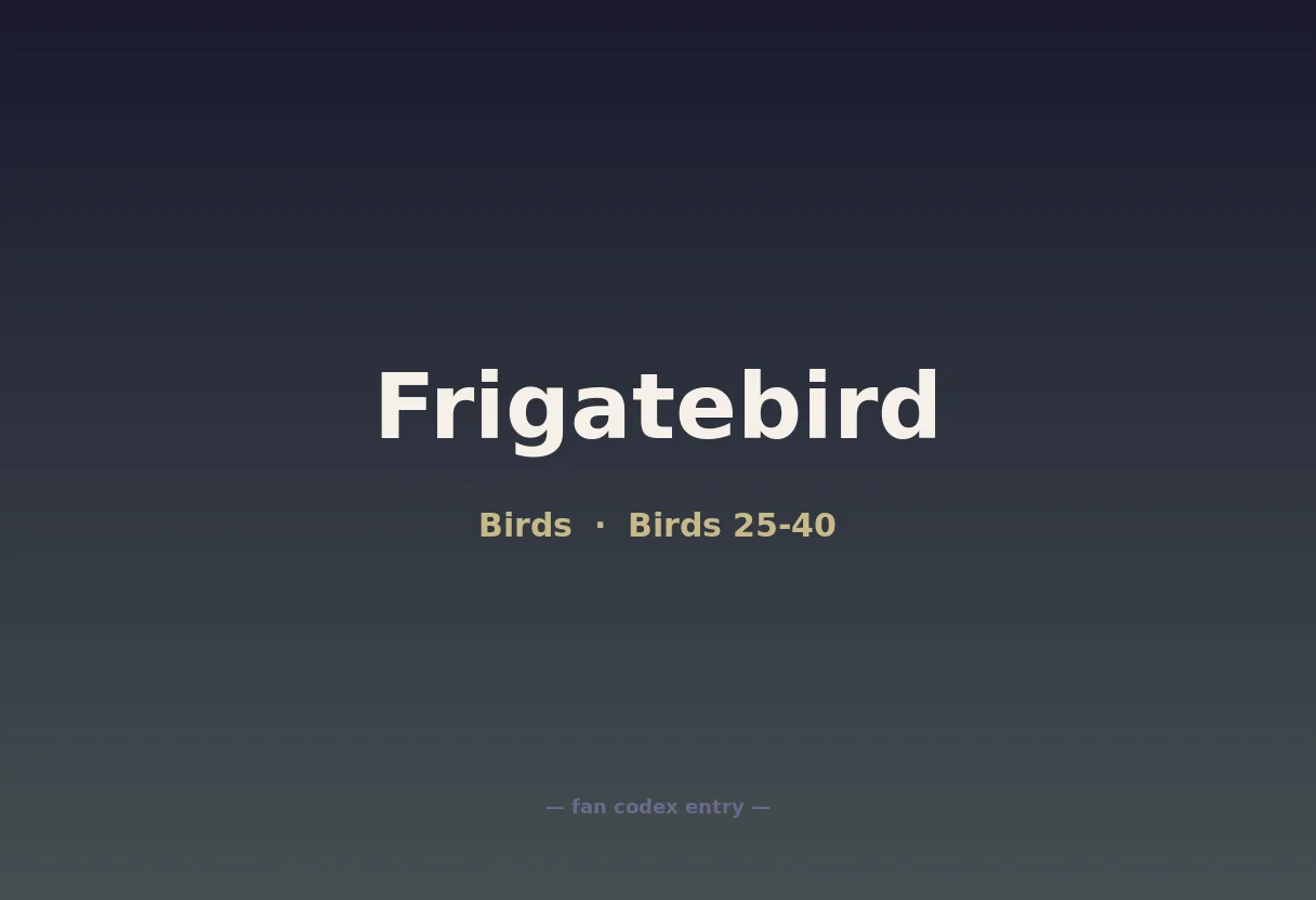 Frigatebird